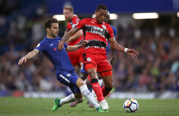 稳定的职业 稳定的职业