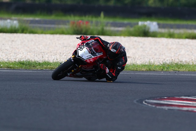 成为春运的 成为春运的