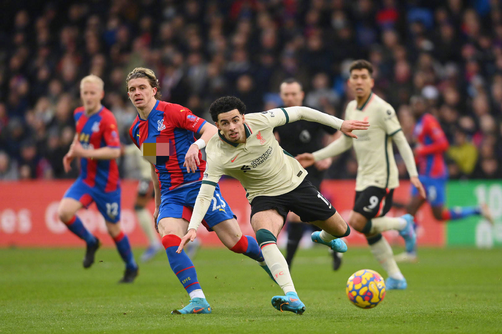 加入其中 加入其中